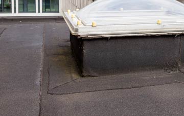 disadvantages of Parliament Heath flat roofs