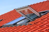 Parliament Heath roof window