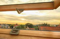 rated Parliament Heath roof window companies